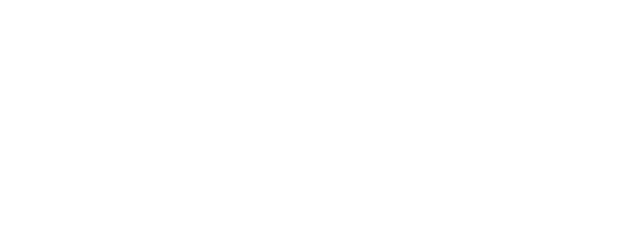 Titre lumiere de noel blanc